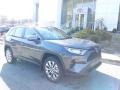 Magnetic Gray Metallic - RAV4 XLE Premium AWD Photo No. 1