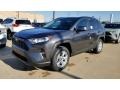 Magnetic Gray Metallic - RAV4 XLE AWD Photo No. 1