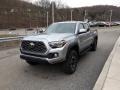 2020 Silver Sky Metallic Toyota Tacoma TRD Off Road Double Cab 4x4  photo #44