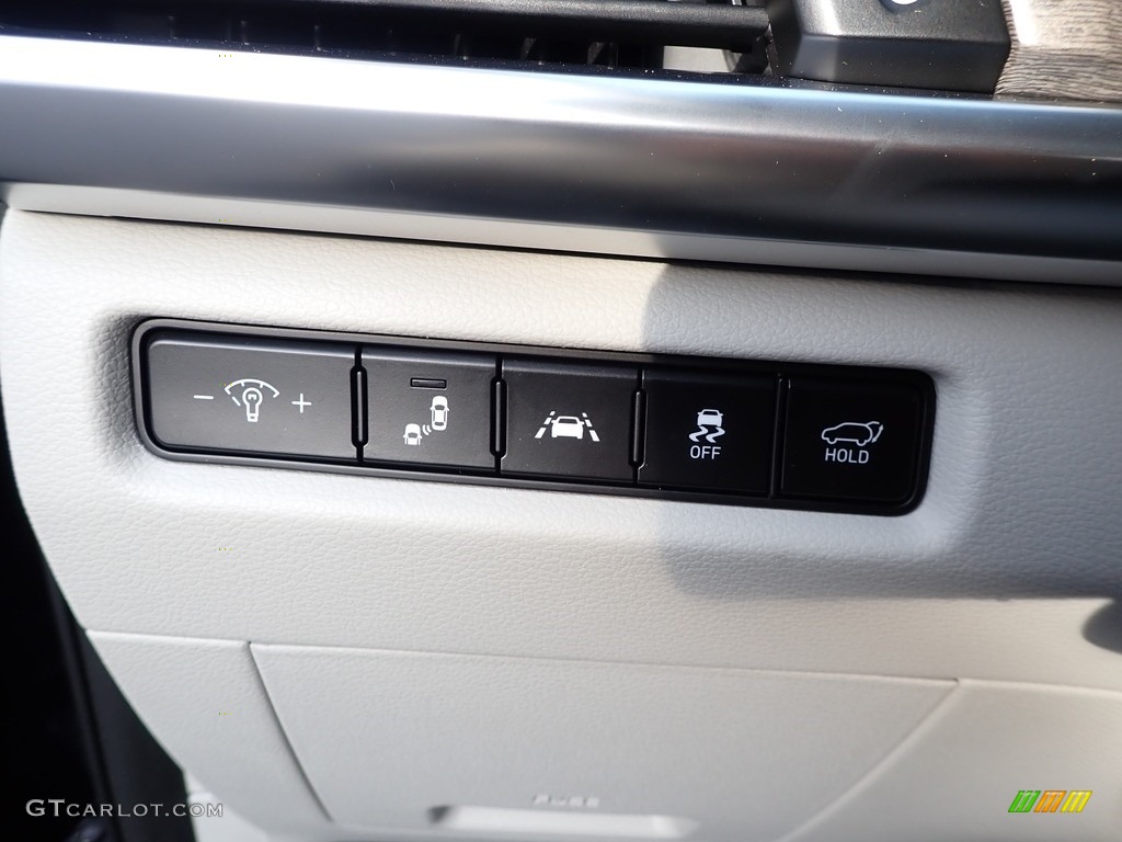 2020 Telluride EX AWD - Ebony Black / Gray photo #17