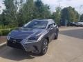 Nebula Gray Pearl - NX 300 AWD Photo No. 1