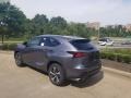 Nebula Gray Pearl - NX 300 AWD Photo No. 4