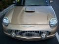 2005 Bronze Metallic Ford Thunderbird Deluxe Roadster  photo #6