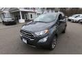 Smoke Metallic - EcoSport Titanium 4WD Photo No. 3