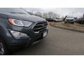 Smoke Metallic - EcoSport Titanium 4WD Photo No. 28