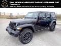 2020 Black Jeep Wrangler Unlimited Willys 4x4  photo #1