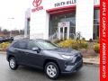 Magnetic Gray Metallic - RAV4 XLE AWD Photo No. 1