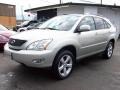 Millenium Silver Metallic - RX 330 Photo No. 2