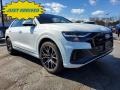 Carrara White 2019 Audi Q8 55 Premium quattro