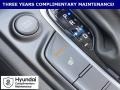 2020 Thunder Gray Hyundai Kona Ultimate AWD  photo #30