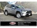 Silver Sky Metallic - RAV4 XLE AWD Photo No. 1
