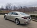 Moonbeam Beige Metallic - ES 300h Photo No. 4