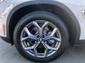 Alpine White - X3 xDrive30i Photo No. 5