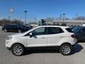 White Platinum Metallic - EcoSport SE Photo No. 2