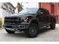 2019 Agate Black Ford F150 SVT Raptor SuperCrew 4x4  photo #12