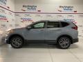 2020 Sonic Gray Pearl Honda CR-V EX-L AWD  photo #5