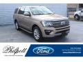 Desert Gold - Expedition XLT Photo No. 1