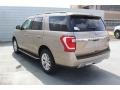 Desert Gold - Expedition XLT Photo No. 6