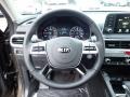 2020 Kia Telluride Black Interior Steering Wheel Photo