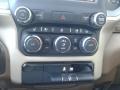 Light Frost Beige/Mountain Brown Controls Photo for 2020 Ram 1500 #137575090