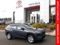 Magnetic Gray Metallic - RAV4 XLE AWD Photo No. 1