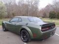 2020 F8 Green Dodge Challenger R/T Scat Pack Widebody  photo #8