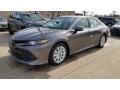 Predawn Gray Mica - Camry LE Photo No. 1
