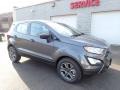 Smoke Metallic - EcoSport S Photo No. 9