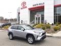 Silver Sky Metallic - RAV4 XLE AWD Photo No. 1