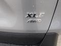 Silver Sky Metallic - RAV4 XLE AWD Photo No. 46