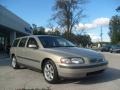 Ash Gold Metallic - V70 2.4 Photo No. 3