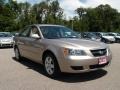 Golden Beige - Sonata GLS Photo No. 7