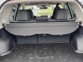 Gray Trunk Photo for 2020 Subaru Forester #137665824