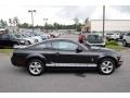 2008 Alloy Metallic Ford Mustang V6 Premium Coupe  photo #13