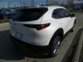 2020 Snowflake White Pearl Mica Mazda CX-30 Premium AWD  photo #7