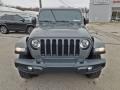 Sting-Gray - Wrangler Unlimited Sahara 4x4 Photo No. 4
