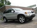 Titanium Silver Metallic - X5 3.0i Photo No. 2