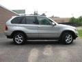 Titanium Silver Metallic - X5 3.0i Photo No. 9