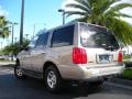 2002 Light Parchment Gold Metallic Lincoln Navigator Luxury 4x4  photo #8