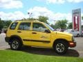 Yellow - Tracker ZR2 4WD Hard Top Photo No. 11