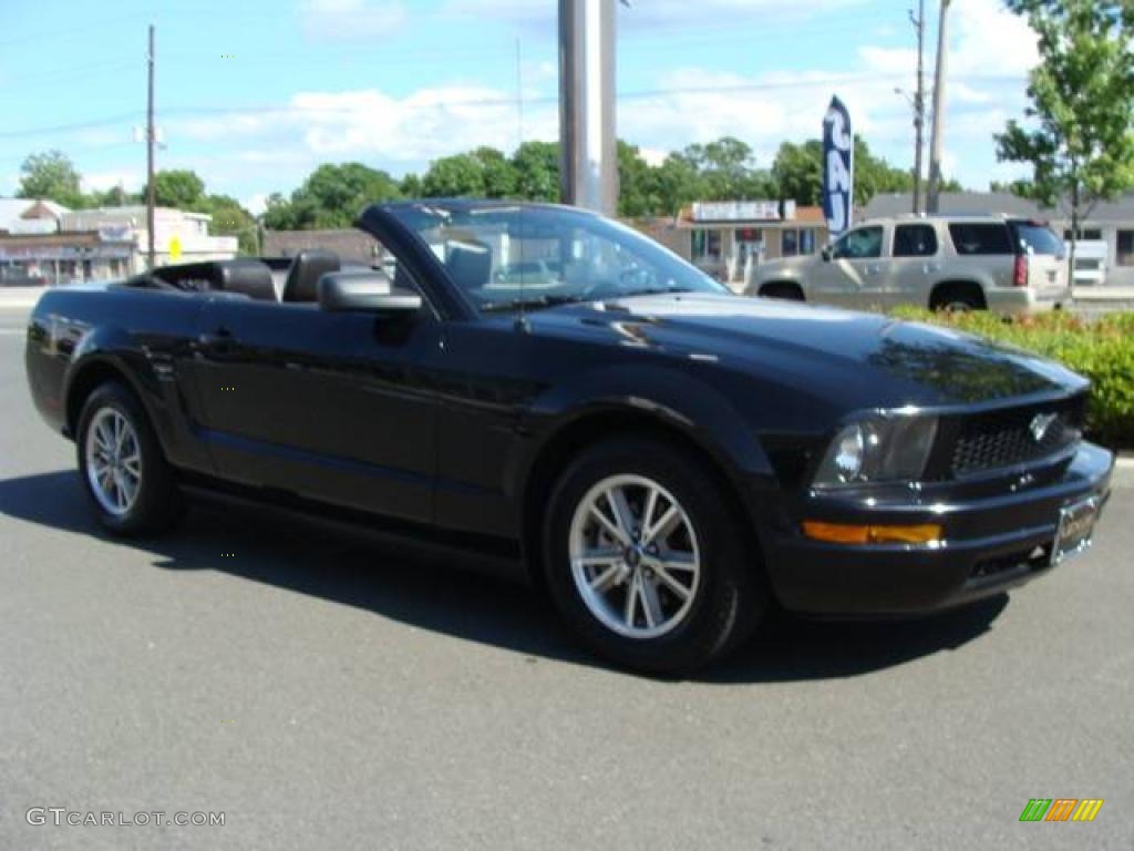 2005 Mustang V6 Premium Convertible - Black / Dark Charcoal photo #3