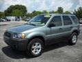 2005 Titanium Green Metallic Ford Escape XLT V6  photo #1