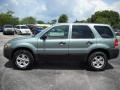 2005 Titanium Green Metallic Ford Escape XLT V6  photo #2