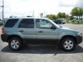 2005 Titanium Green Metallic Ford Escape XLT V6  photo #10