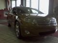 Golden Umber Mica - Venza V6 AWD Photo No. 1