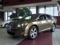 Golden Umber Mica - Venza V6 AWD Photo No. 3