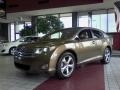 Golden Umber Mica - Venza V6 AWD Photo No. 3