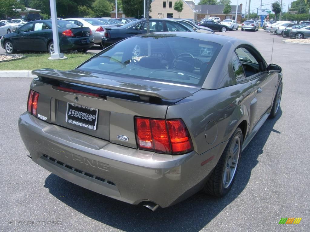 2002 Mustang GT Coupe - Mineral Grey Metallic / Dark Charcoal photo #6