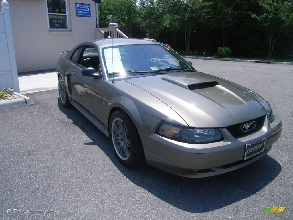 2002 Mustang GT Coupe - Mineral Grey Metallic / Dark Charcoal photo #8