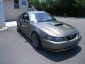 2002 Mineral Grey Metallic Ford Mustang GT Coupe  photo #8